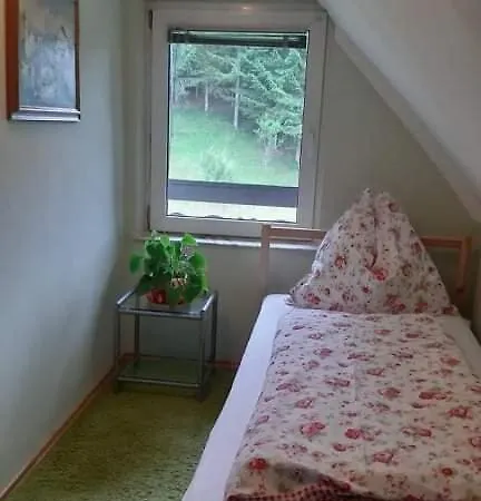 Tatil Evi Haus Pinter In Schladming - Dachstein Region *