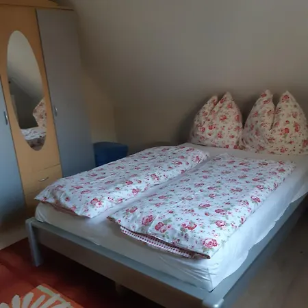 Haus Pinter In Schladming - Dachstein Region بروغيرن