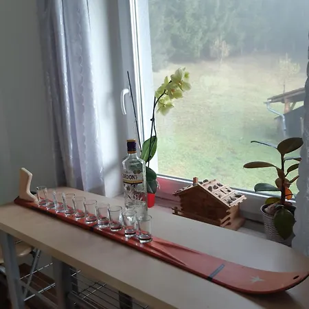 Tatil Evi Haus Pinter In Schladming - Dachstein Region *