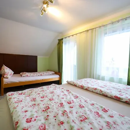 Haus Pinter In Schladming - Dachstein Region *